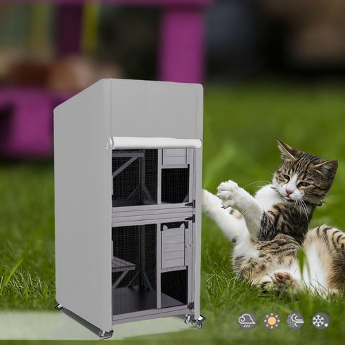 Protective outdoor cat - protective, house